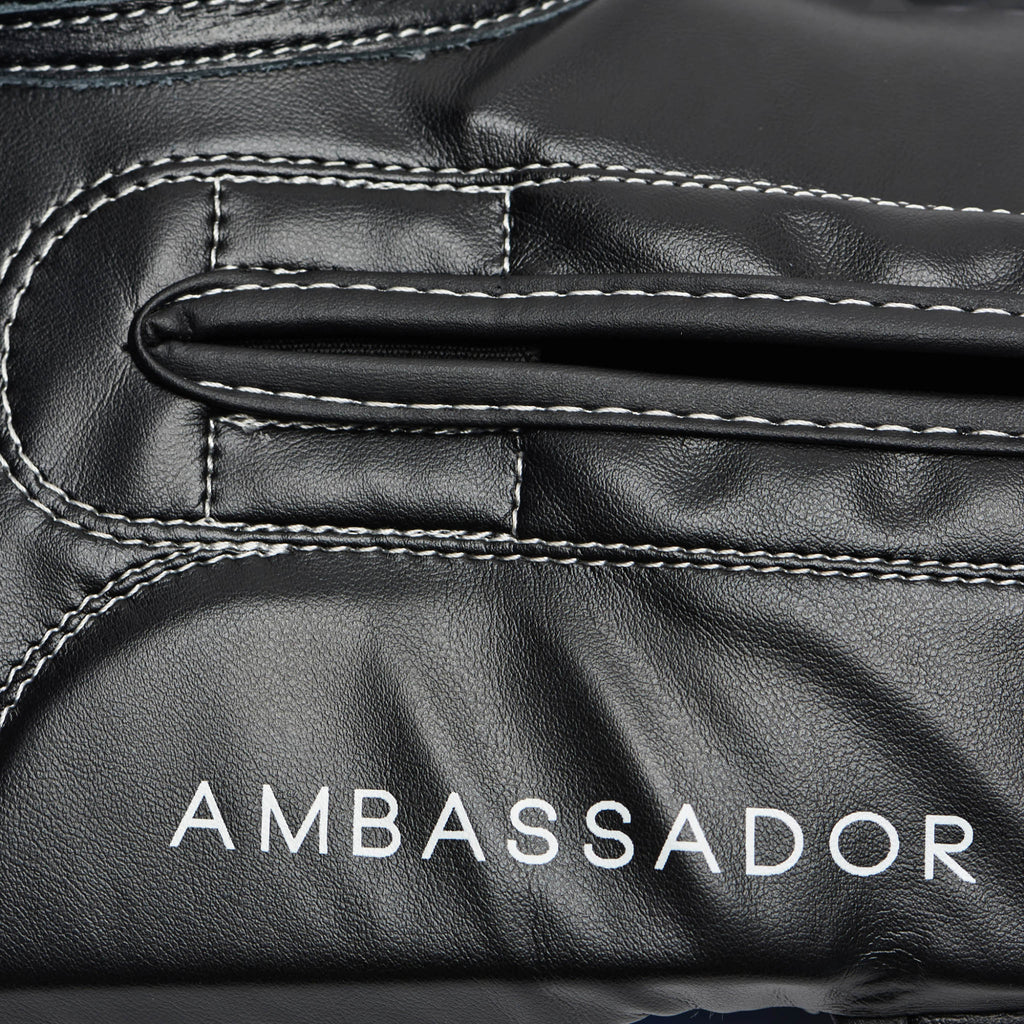 GUANTI DA BOXE AMBASSADOR LEONE