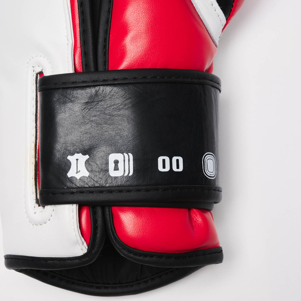 GUANTI DA BOXE IL TECNICO N3 LEONE