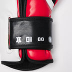 GUANTI DA BOXE IL TECNICO N3 LEONE