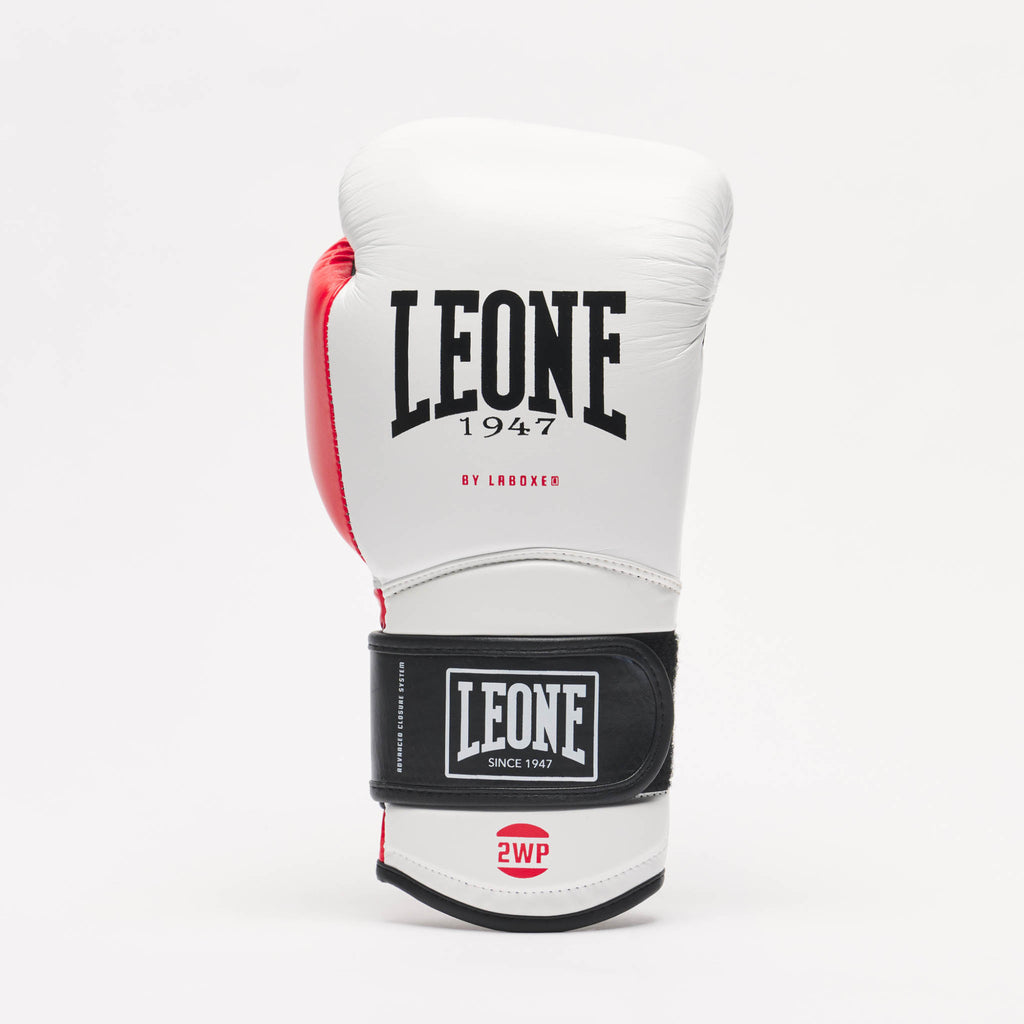 GUANTI DA BOXE IL TECNICO N3 LEONE
