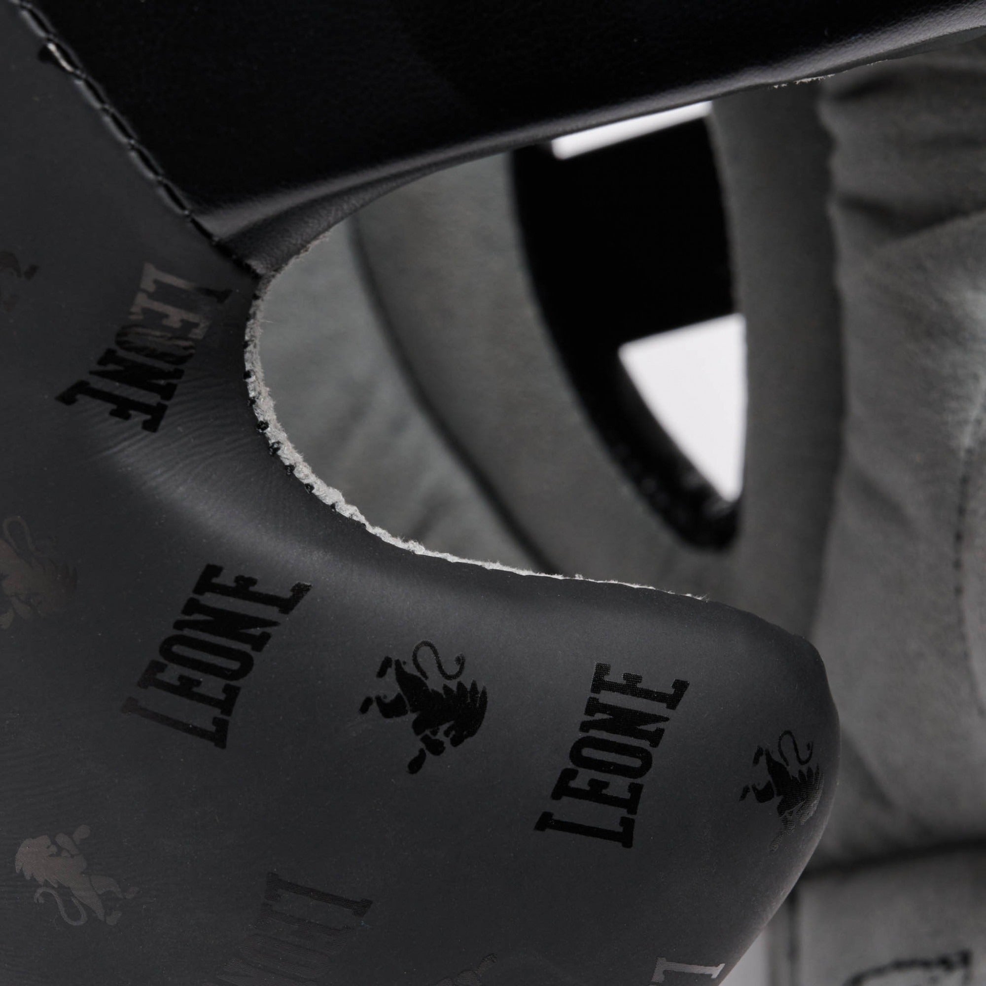 CASCO DNA LEONE