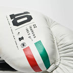 GUANTI BOXE SHOCK PLUS LEONE