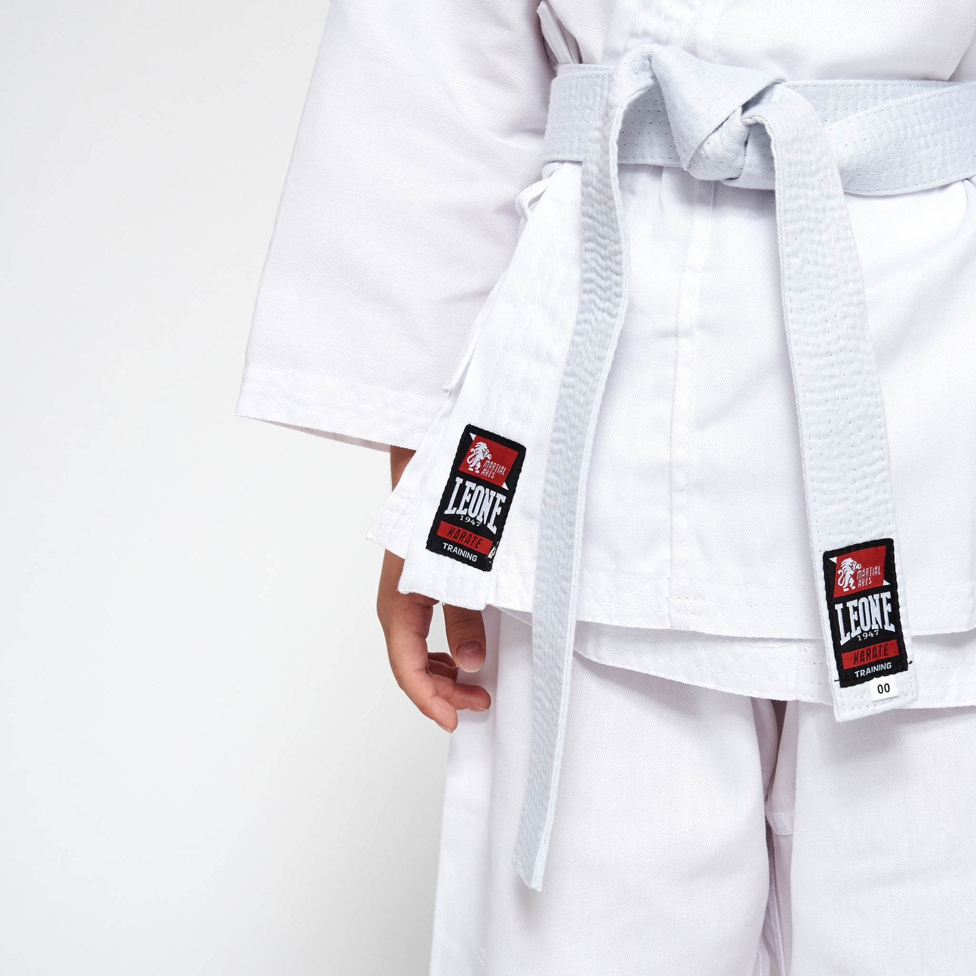 KARATEGI TRAINING LEONE - KARATE