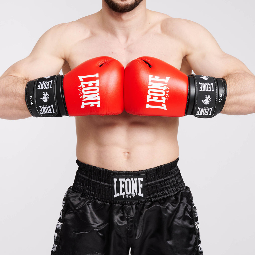 GUANTI DA BOXE AMBASSADOR LEONE
