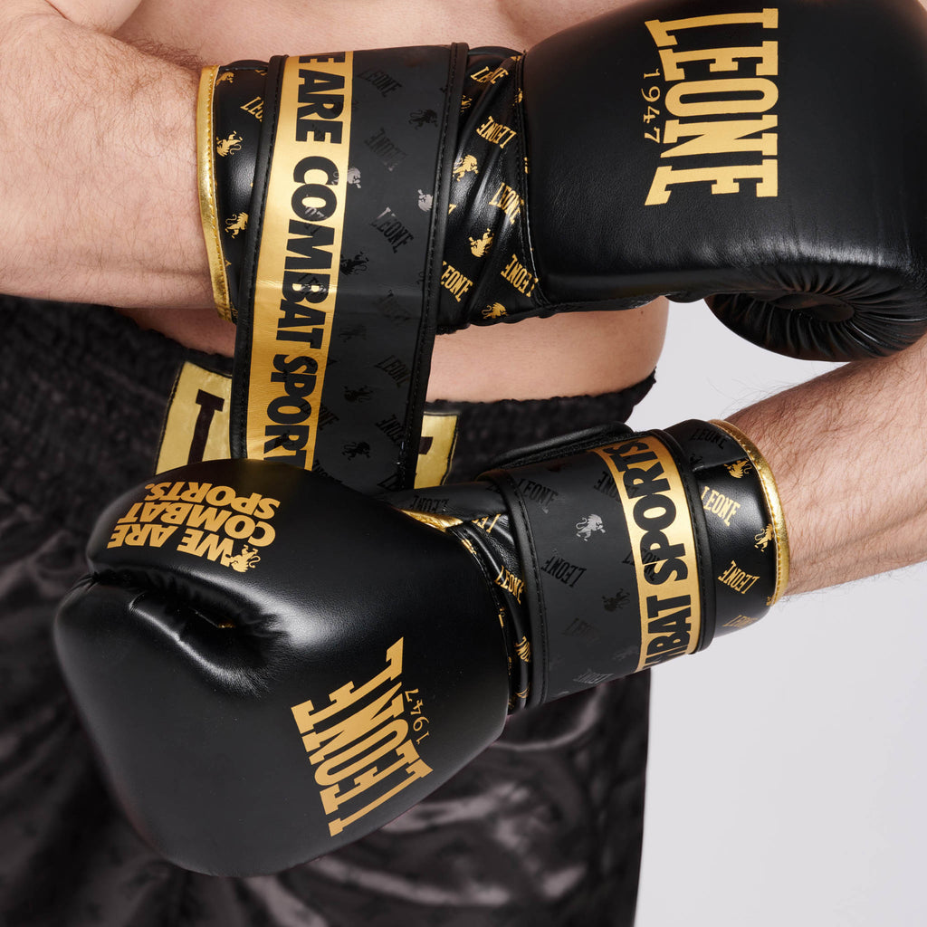 GUANTI BOXE DNA LEONE