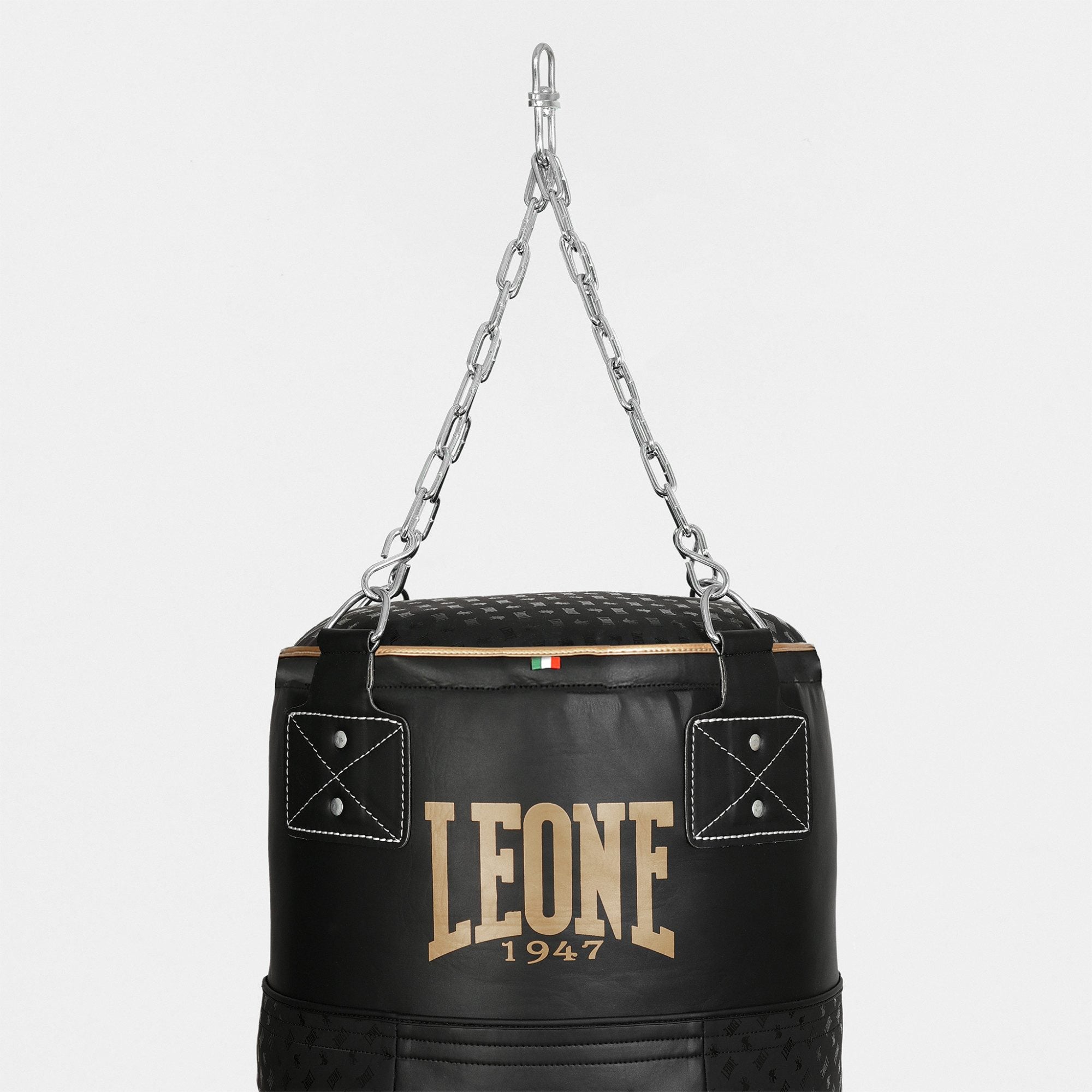 SACCO ALLENAMENTO ''T'' DNA LEONE