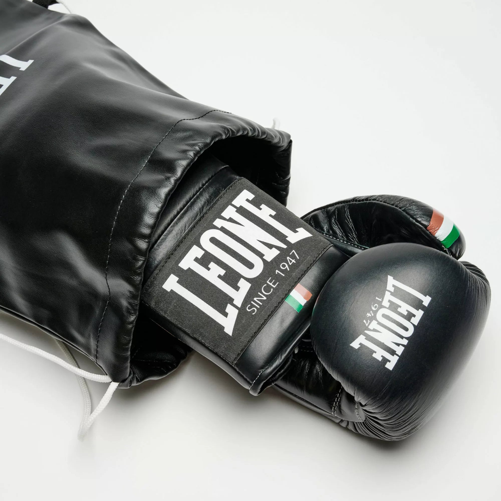 GUANTI BOXE SHOCK PLUS LEONE