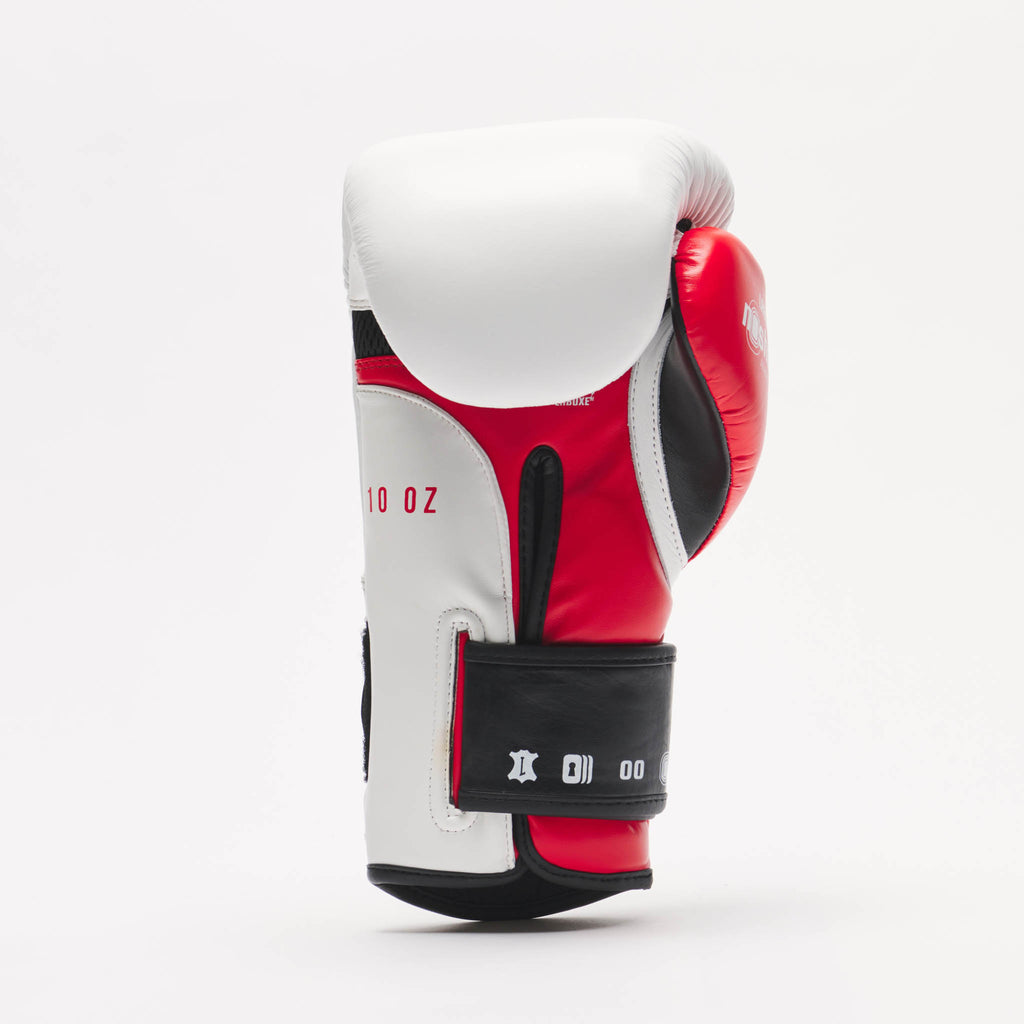 GUANTI DA BOXE IL TECNICO N3 LEONE