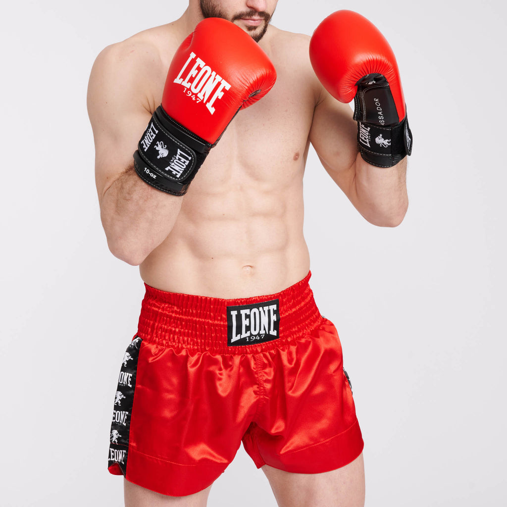 GUANTI DA BOXE AMBASSADOR LEONE