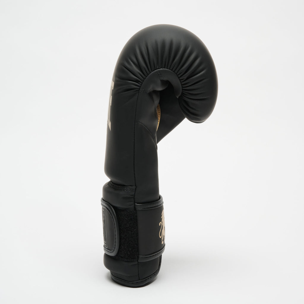 GUANTI BOXE BLACK&WHITE GOLD LEONE
