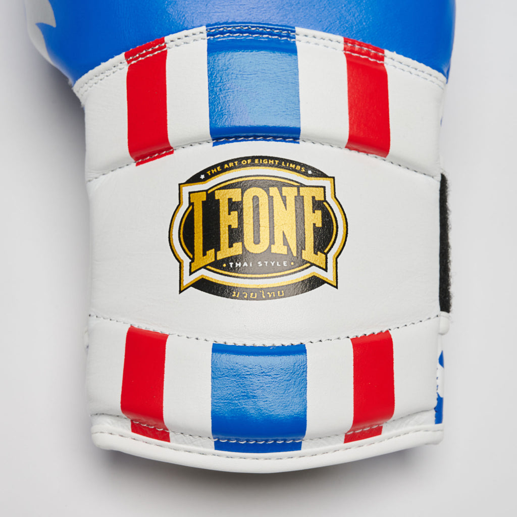 GUANTI DA BOXE THAI STYLE LEONE