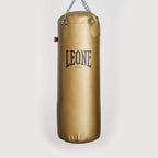 SACCO DA ALLENAMENTO APOLLO VINTAGE LEONE