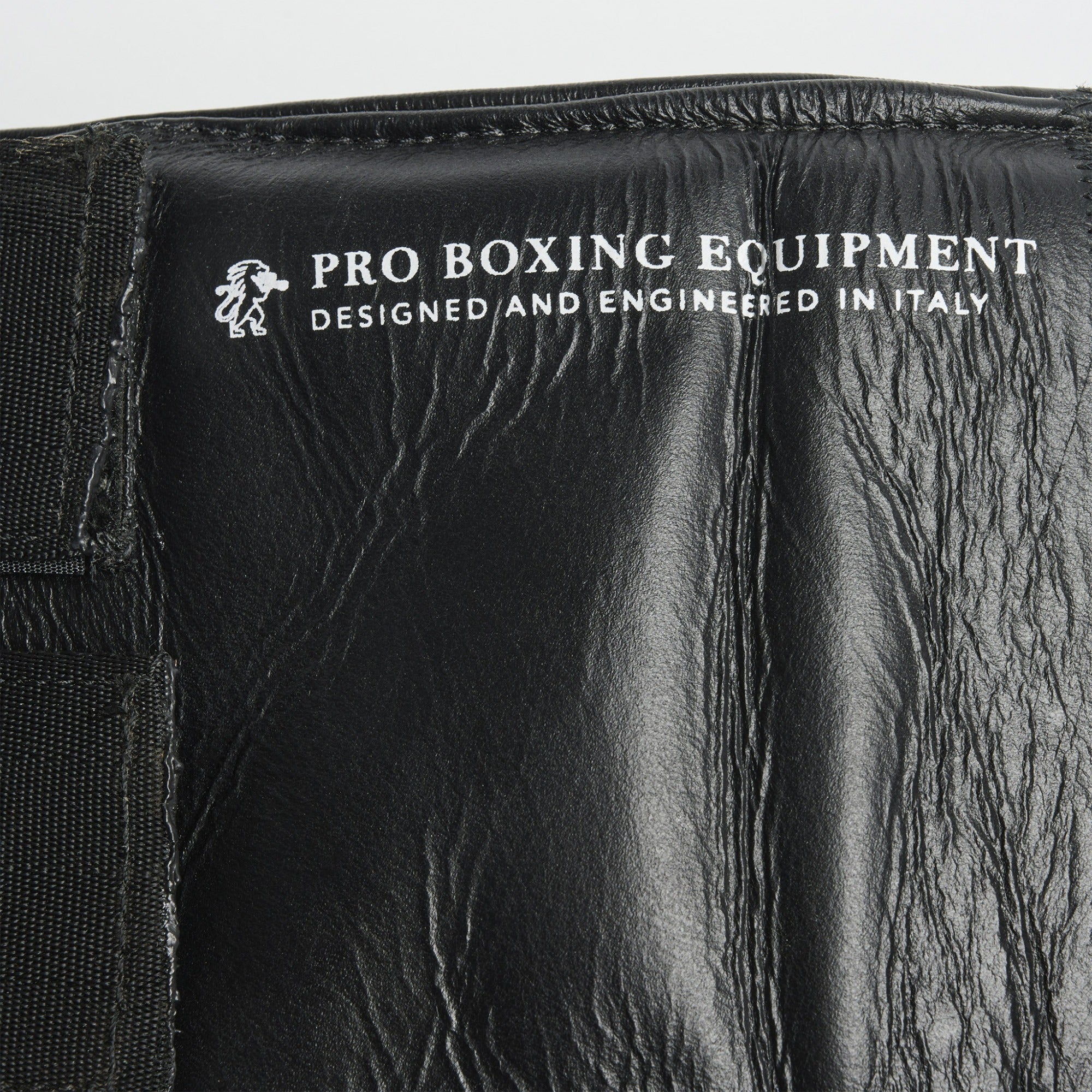 CINTURA PRO BOXE THE GREATEST LEONE