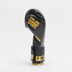 GUANTI BOXE DNA LEONE
