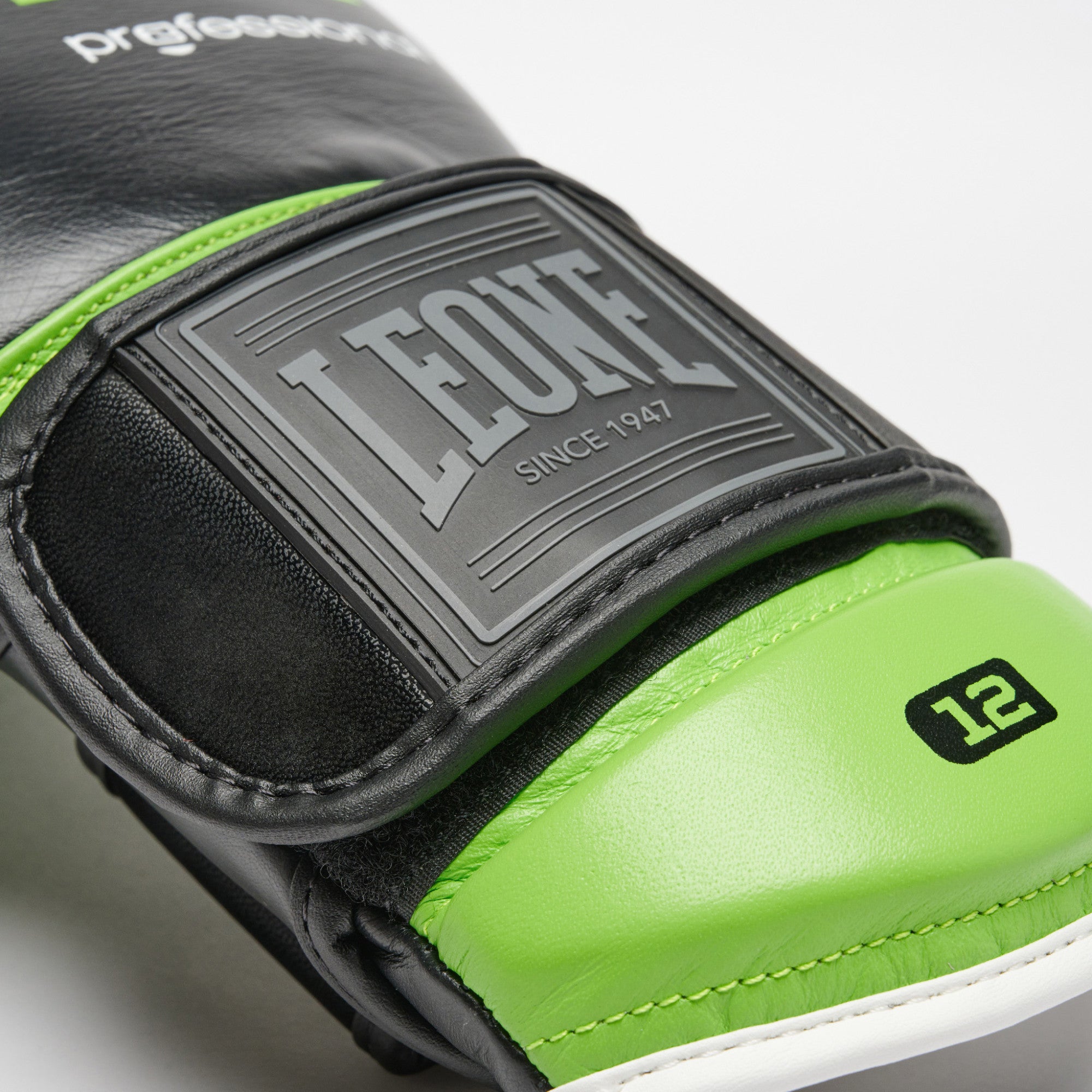GUANTI DA BOXE PROFESSIONAL 2 LEONE