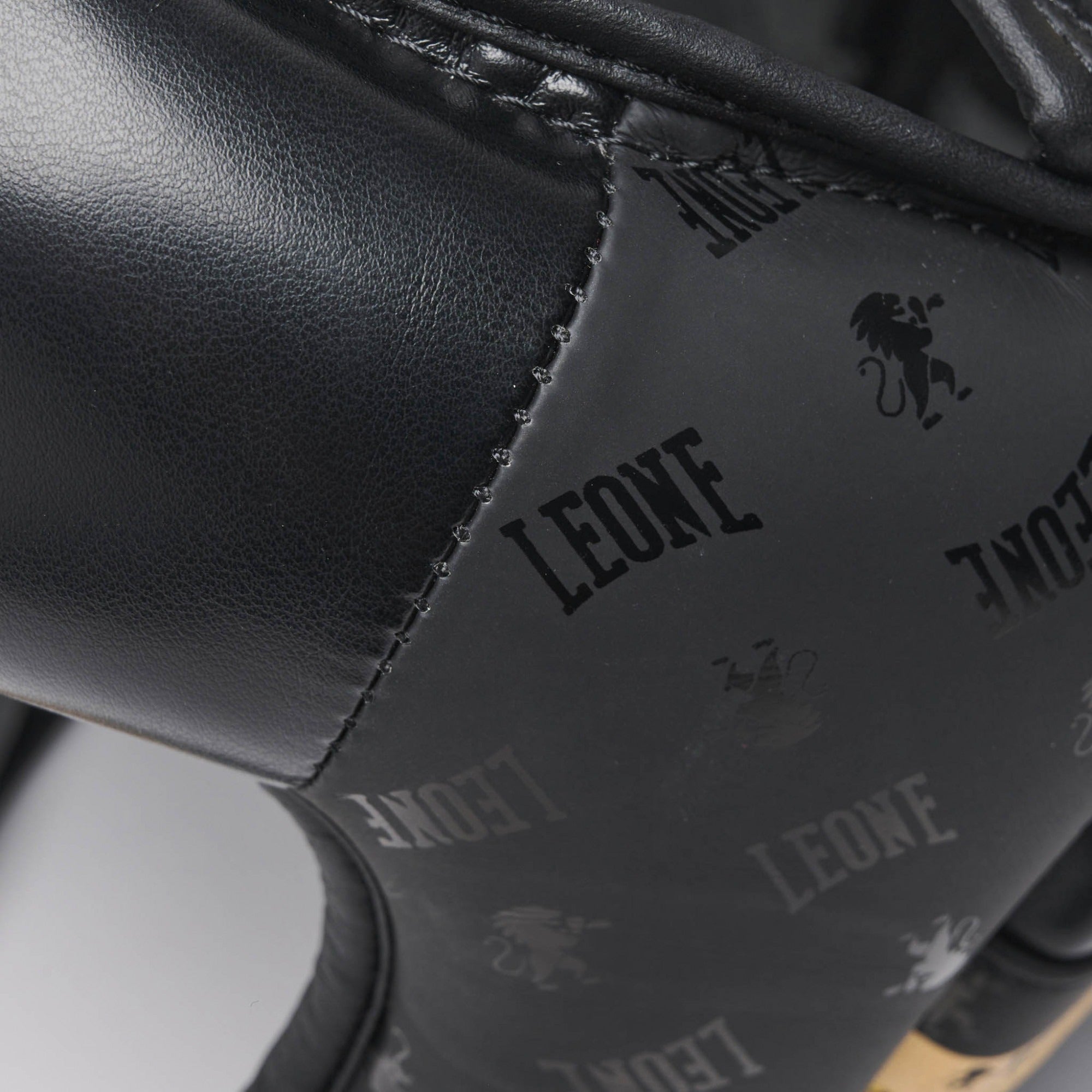 CASCO DNA LEONE
