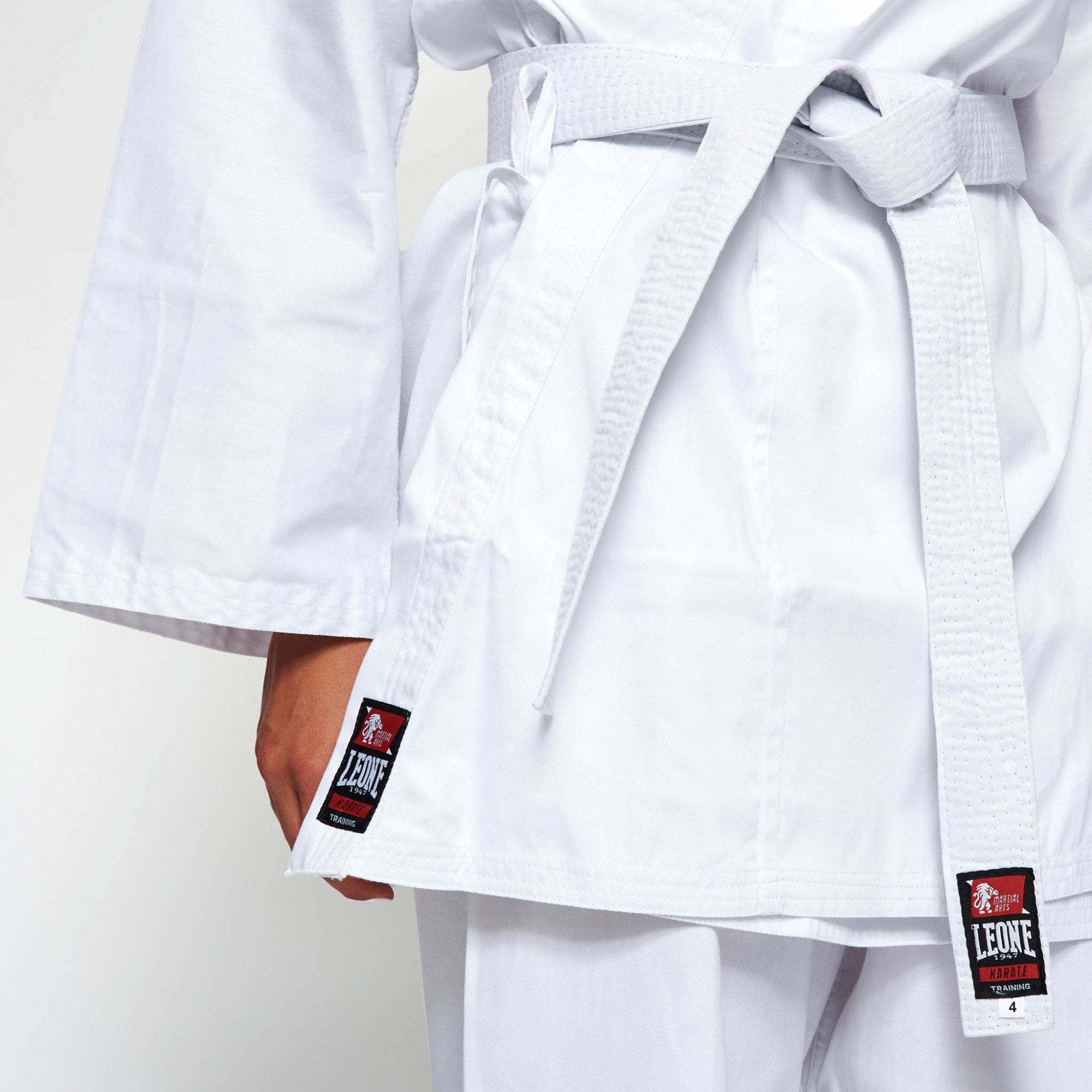 KARATEGI TRAINING LEONE - KARATE