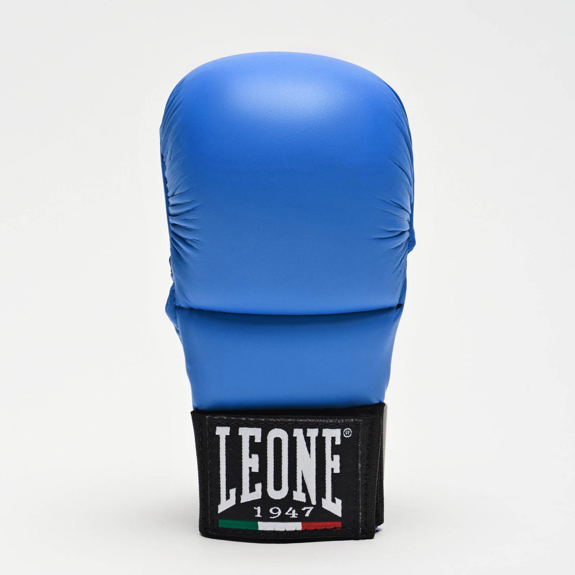 GUANTI DA FIT/KARATE LEONE