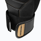 GUANTONE DA BOXE 10 oz HAYABUSA MOD. T3