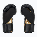 GUANTONE DA BOXE 10 oz HAYABUSA MOD. T3