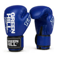 GUANTONI DA BOXE GREEN HILL MOD. FURY