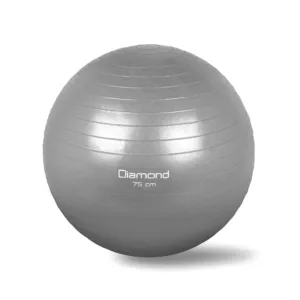 GB75-silver GB55 GYM BALL DIAMOND 1